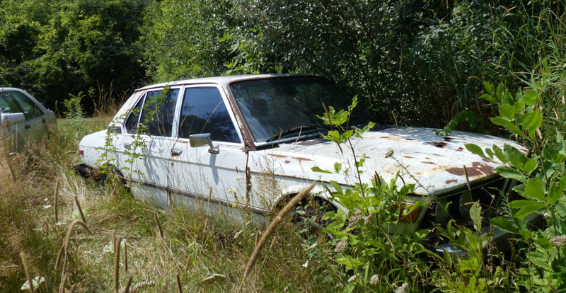 Illustration for article titled A Michigan Town Is Forcing This Man To Sell 20 Old Cars Off His Property Every Month